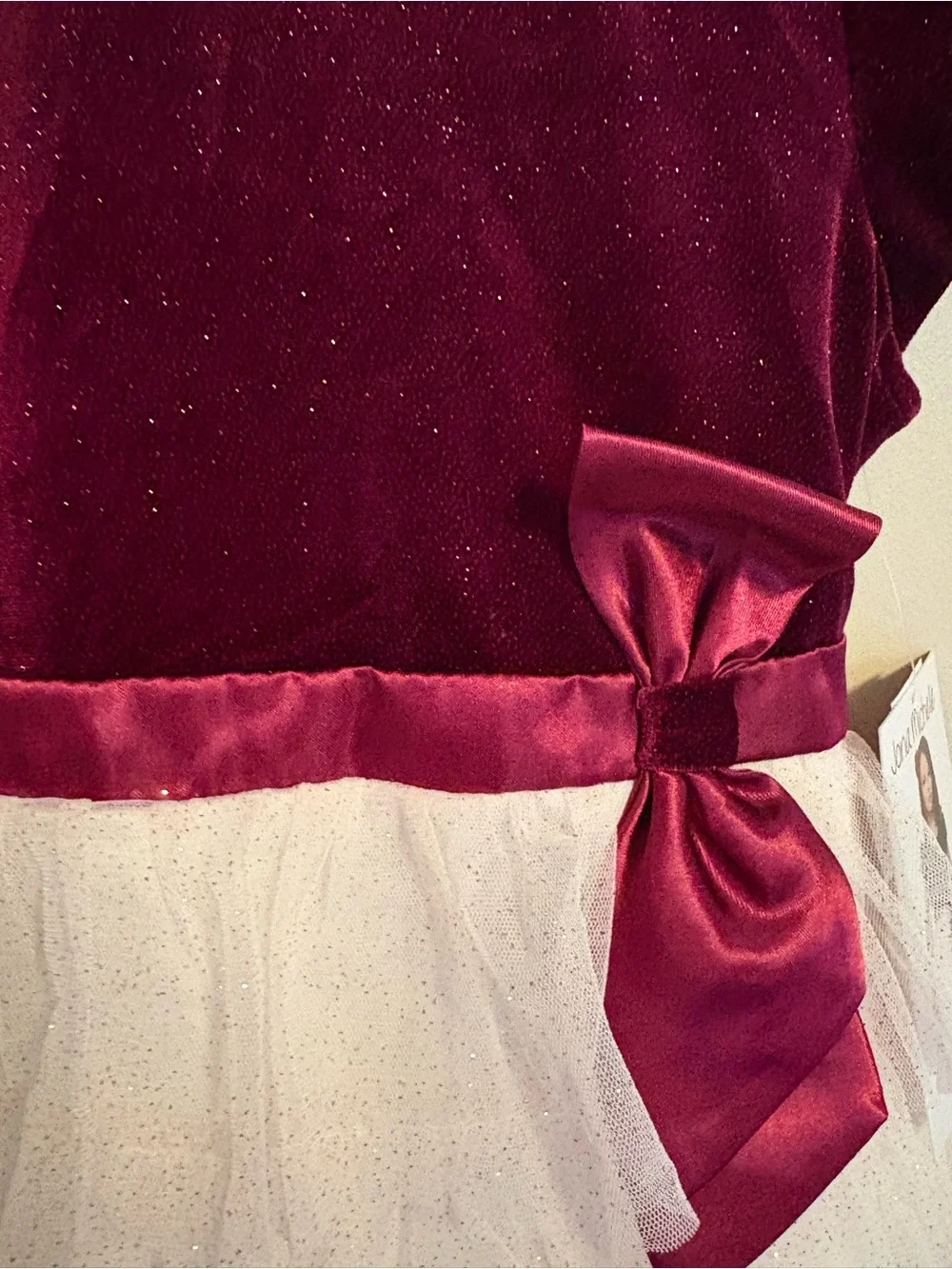 Jona Michelle Burgundy and Ivory Layered Tulle Party Dress